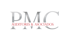 auditorespmc.com